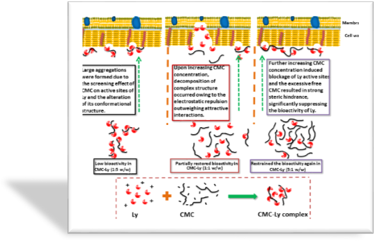 A picture containing timelineDescription automatically generated
